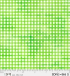 Sorbet Gingham 4985 G Green P and B Textiles